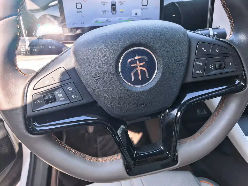 BYD Pro New Energy — миниатюра 13