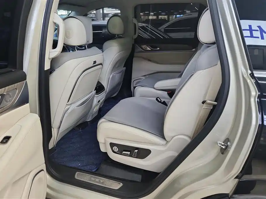 WEI PAI WEI BRAND BLUE MOUNTAIN