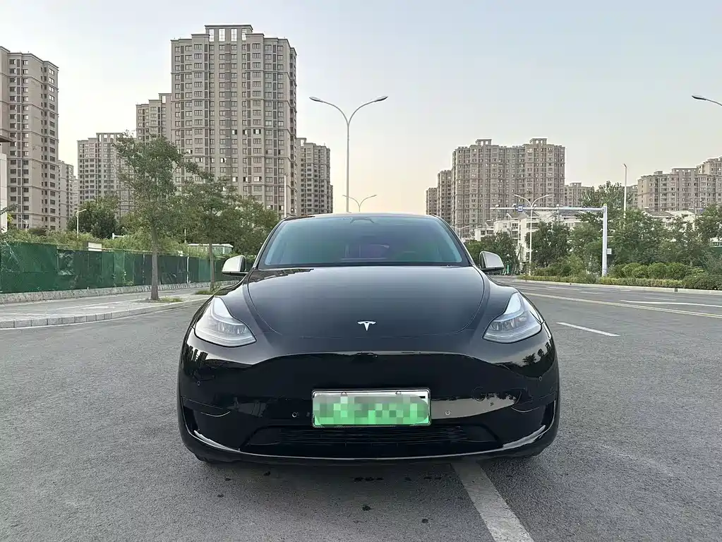 Tesla Model Y — миниатюра 2