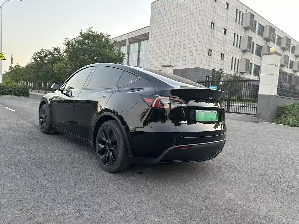 Tesla Model Y — миниатюра 3