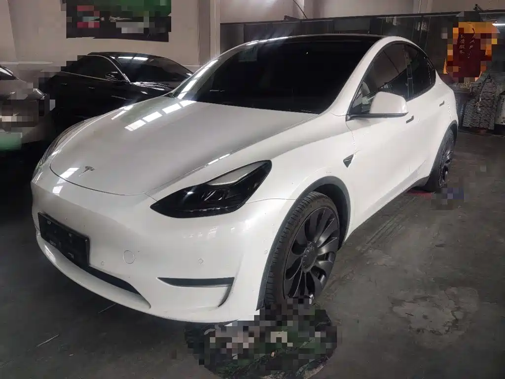 Tesla Model Y — миниатюра 2