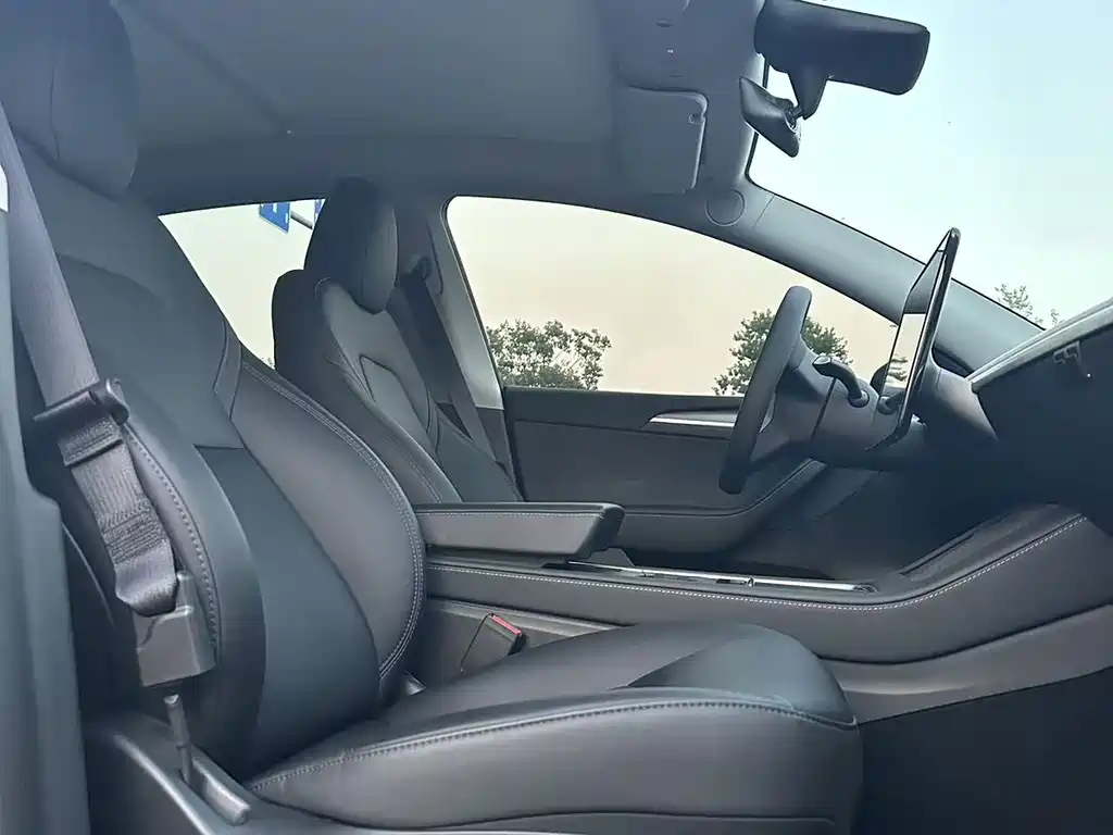 Tesla Model Y — миниатюра 12