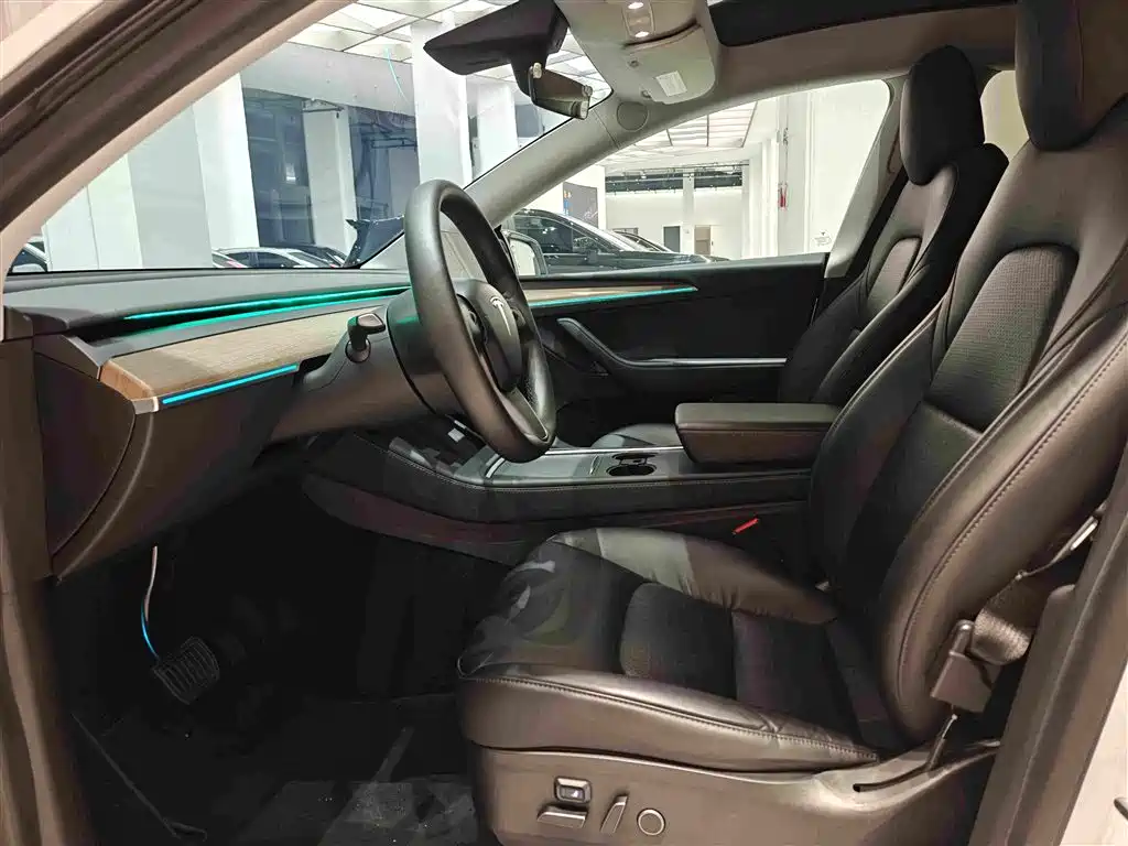 Tesla Model Y — миниатюра 4