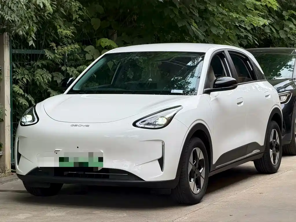 Geely Geome Xingyuan