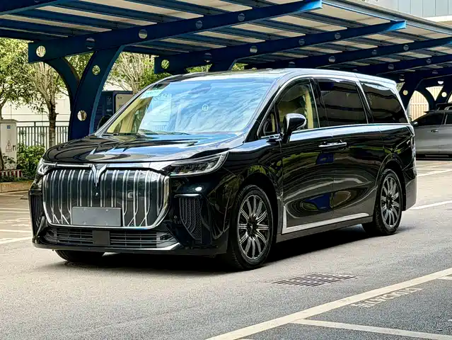 2025 Voyah Dream