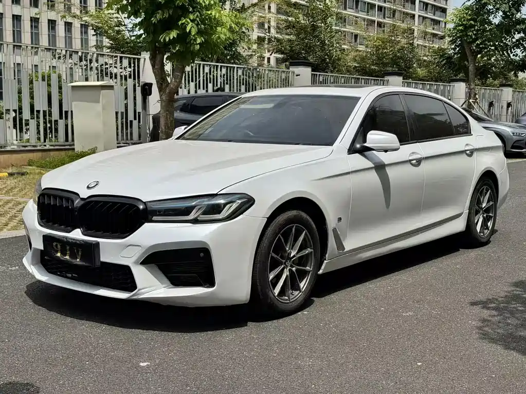 BMW 5 Series 5 2011 523Li Luxury