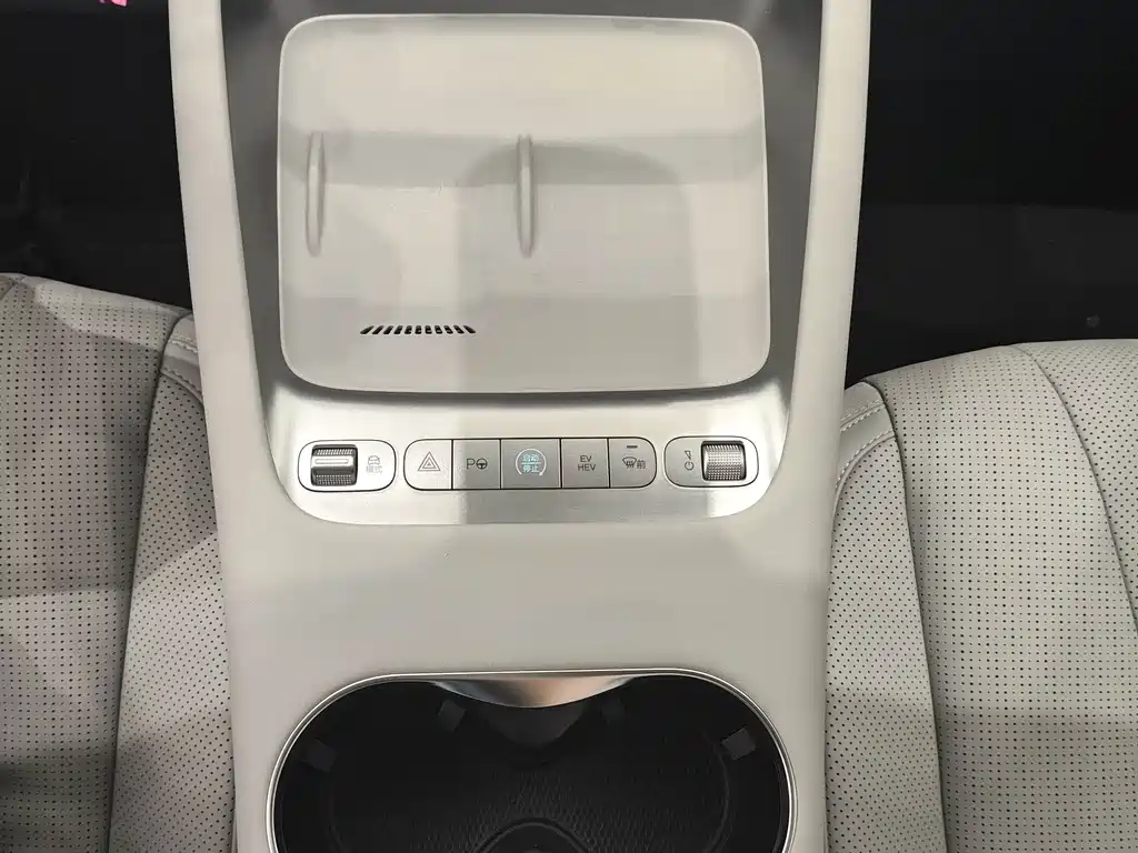 BYD Haisi 06 — миниатюра 13