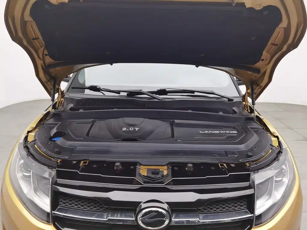 Landwind Landwind X7 — миниатюра 6