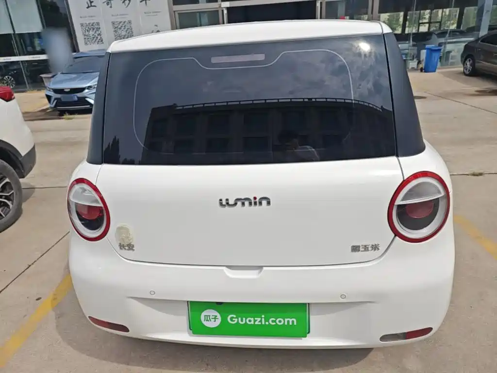 Qiyuan Lumin — миниатюра 6