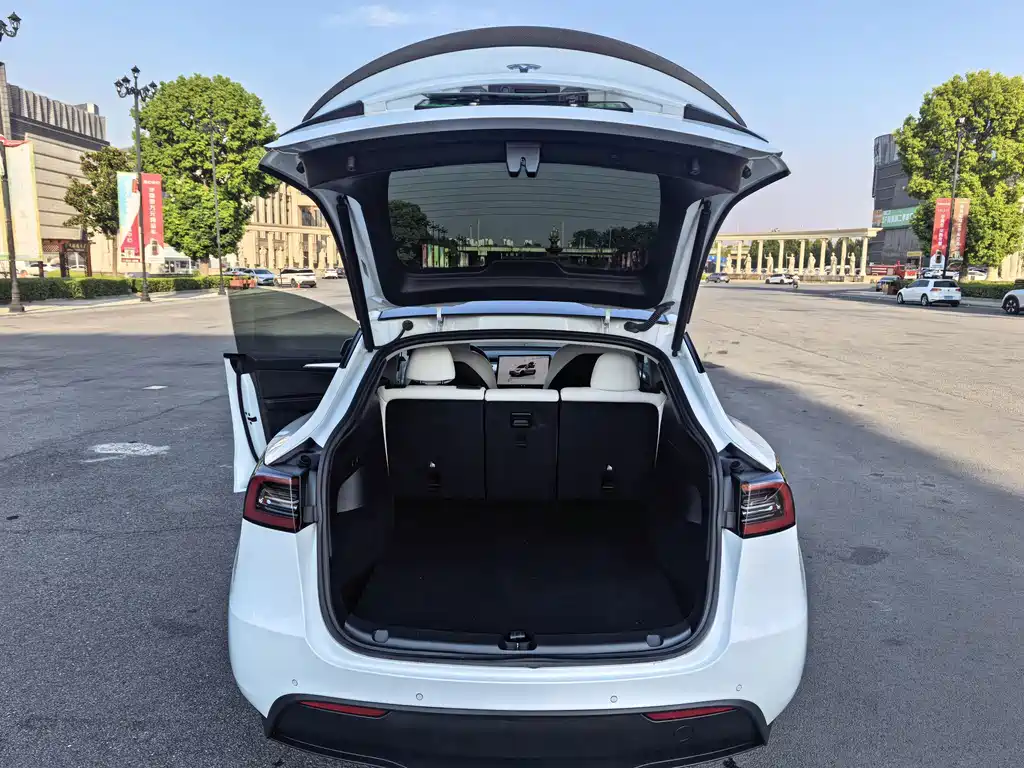 Tesla Model Y — миниатюра 12