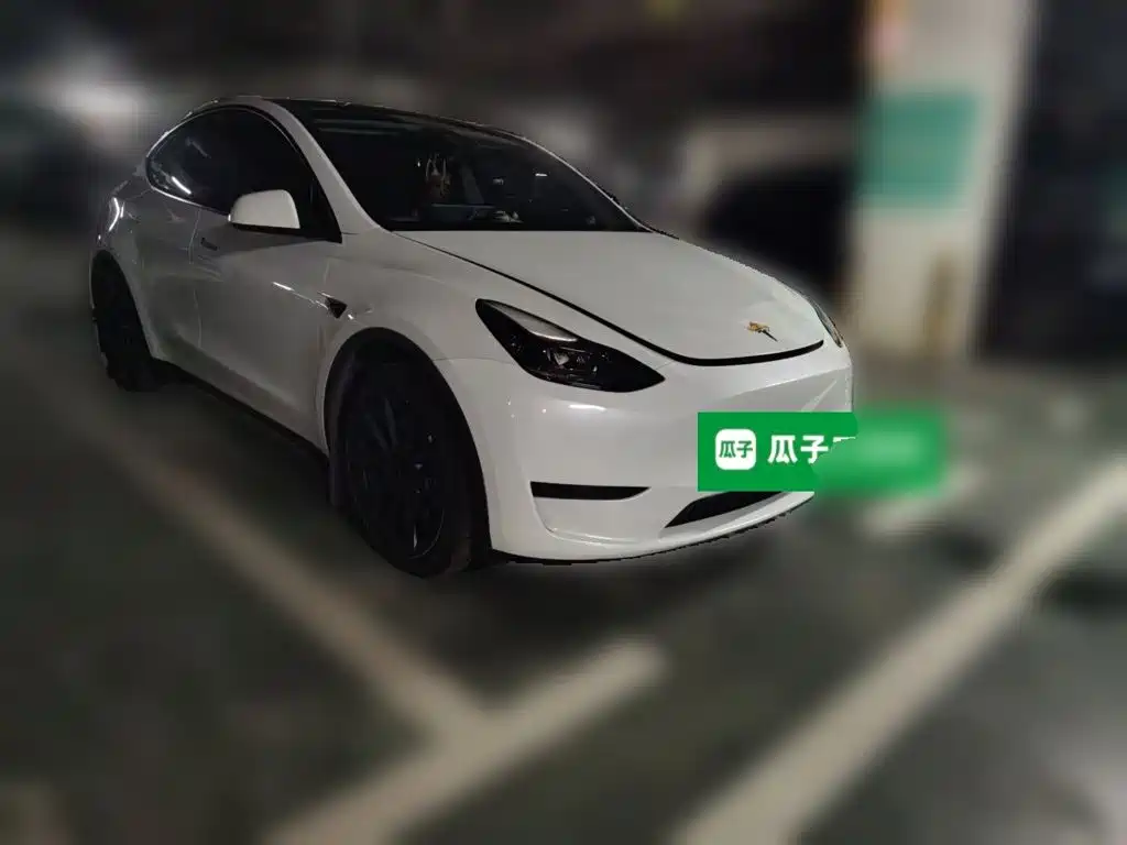 Tesla Model Y — миниатюра 24