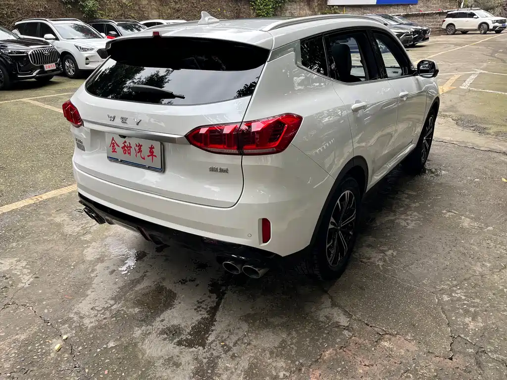 WEI PAI WEI BRAND VV6