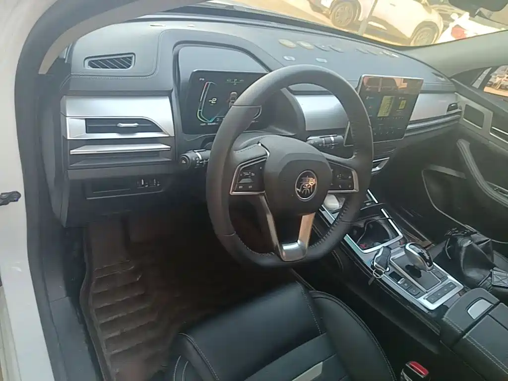 BYD Qin Pro NEV — миниатюра 10