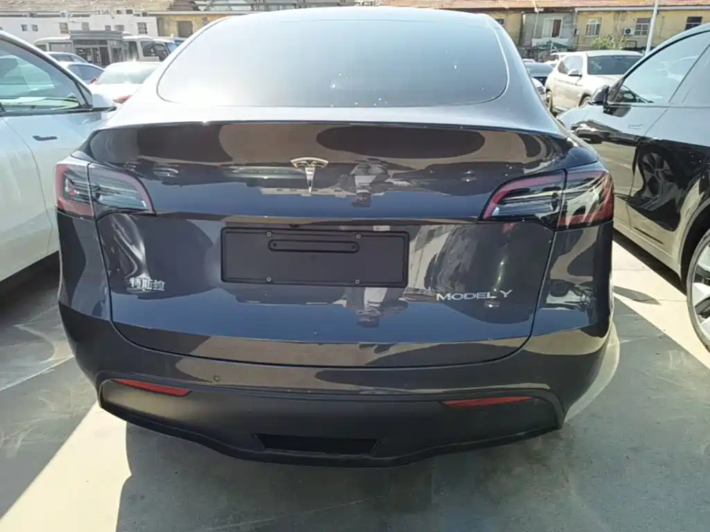 Tesla Model Y — миниатюра 6