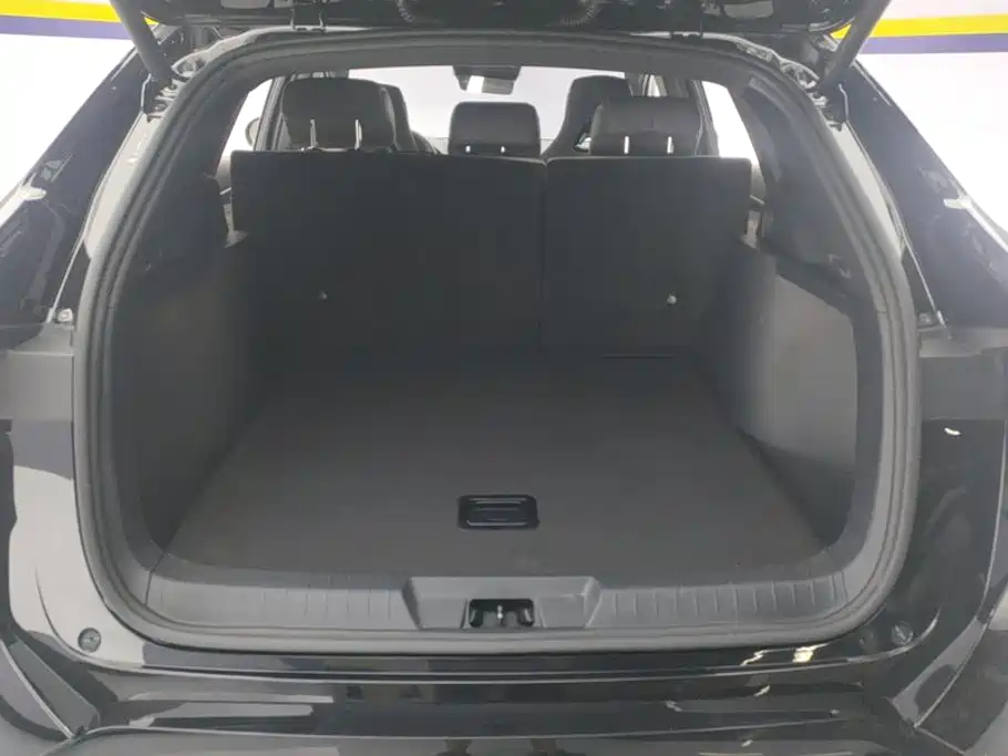 BYD PLUS New Energy — миниатюра 4