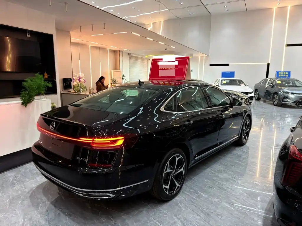 Volkswagen Passat — миниатюра 9