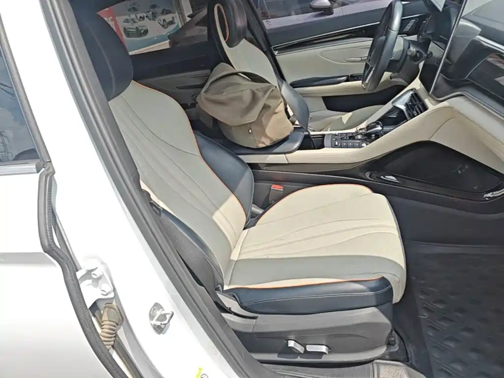 BYD PLUS New Energy — миниатюра 25
