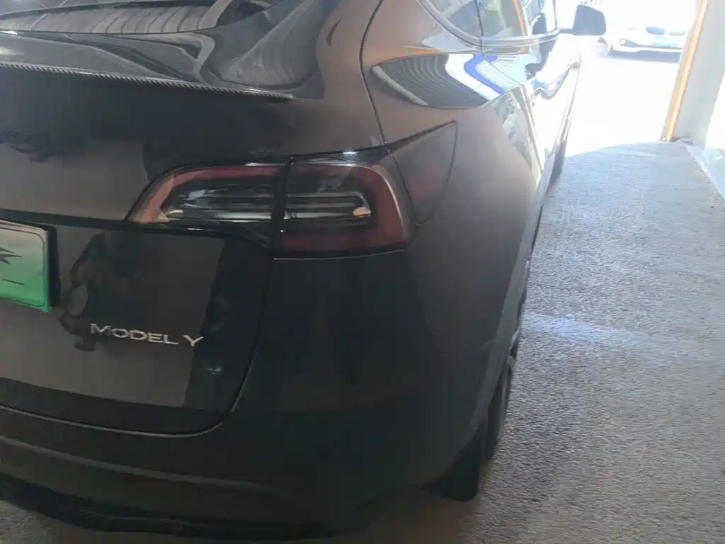 Tesla Model Y — миниатюра 8