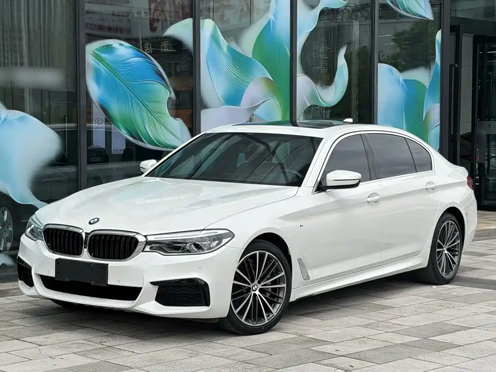 BMW 5 Series — миниатюра 3