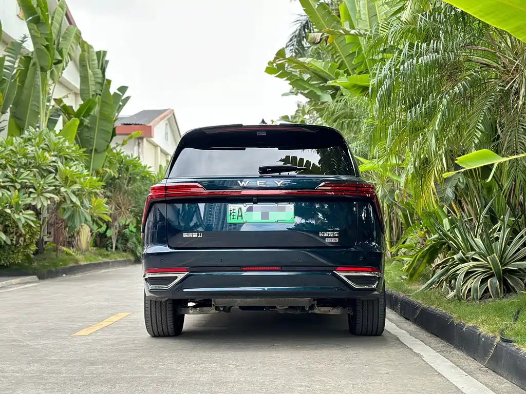 WEI PAI WEI BRAND BLUE MOUNTAIN