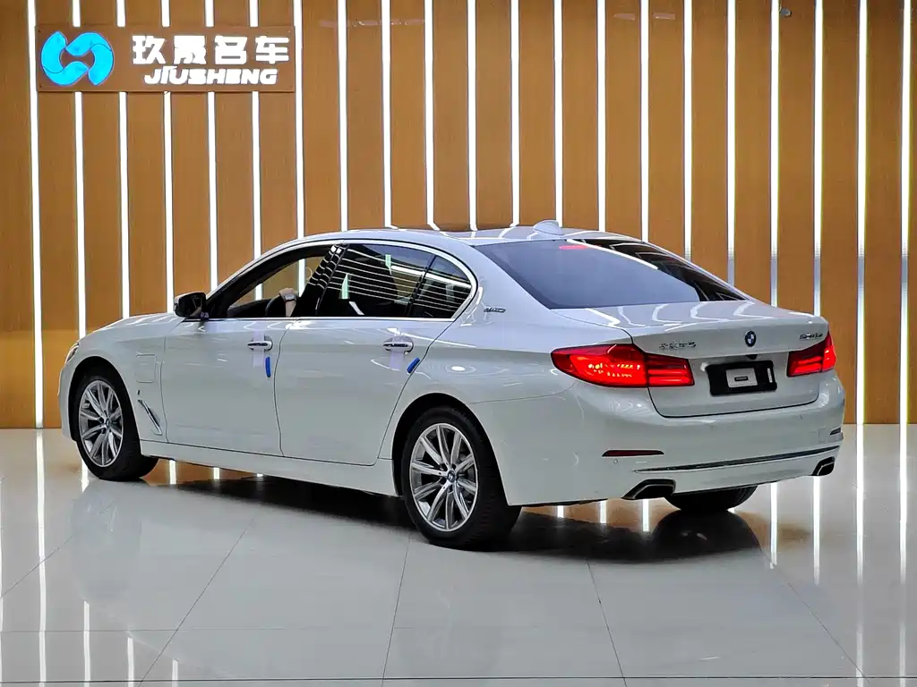 BMW 5 Series New Energy — миниатюра 4