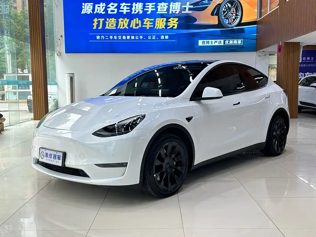 Tesla Model Y — миниатюра 2