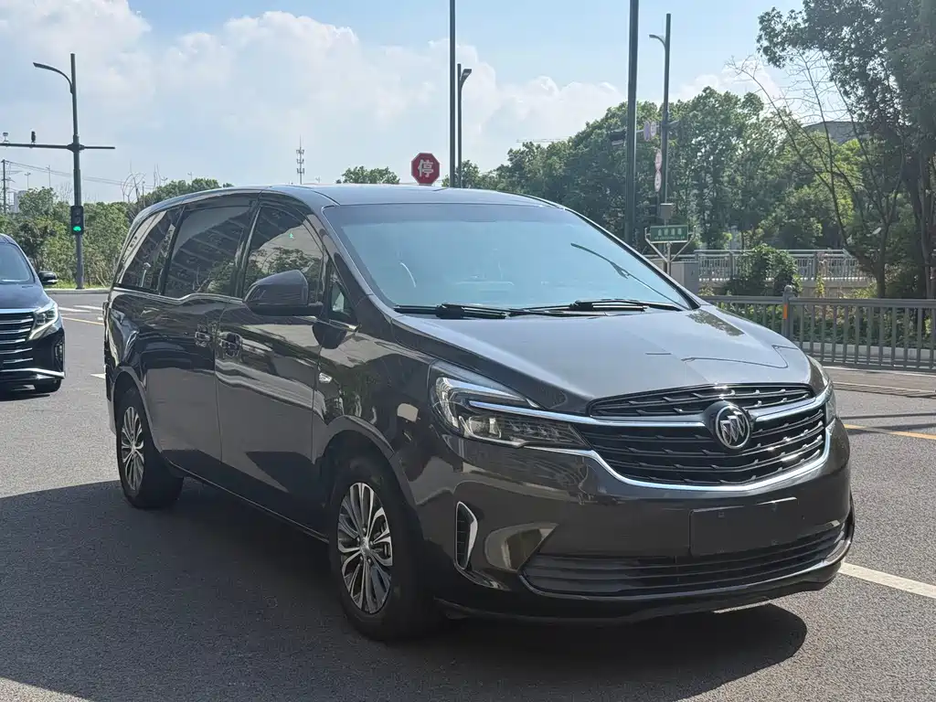 Buick GL8 — миниатюра 3