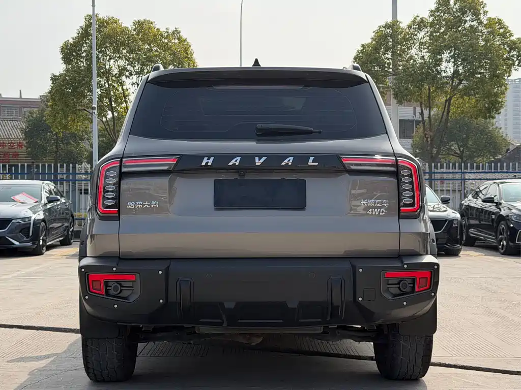 HAVAL BIG DOG