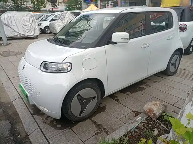 2020 Ora R2/White Cat