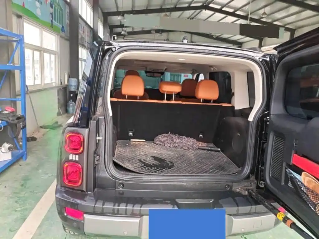 HAVAL RAPTORS NEW ENERGY