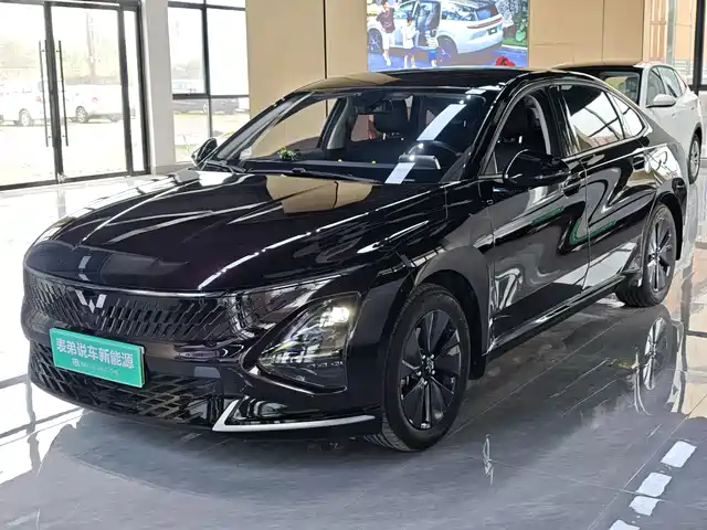 2024 Wuling Motors Starlight