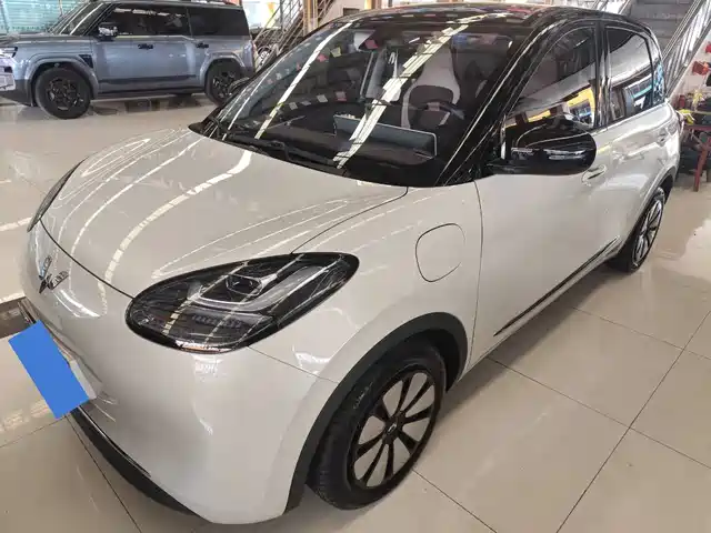 WULING WULING BINGGUO 2024