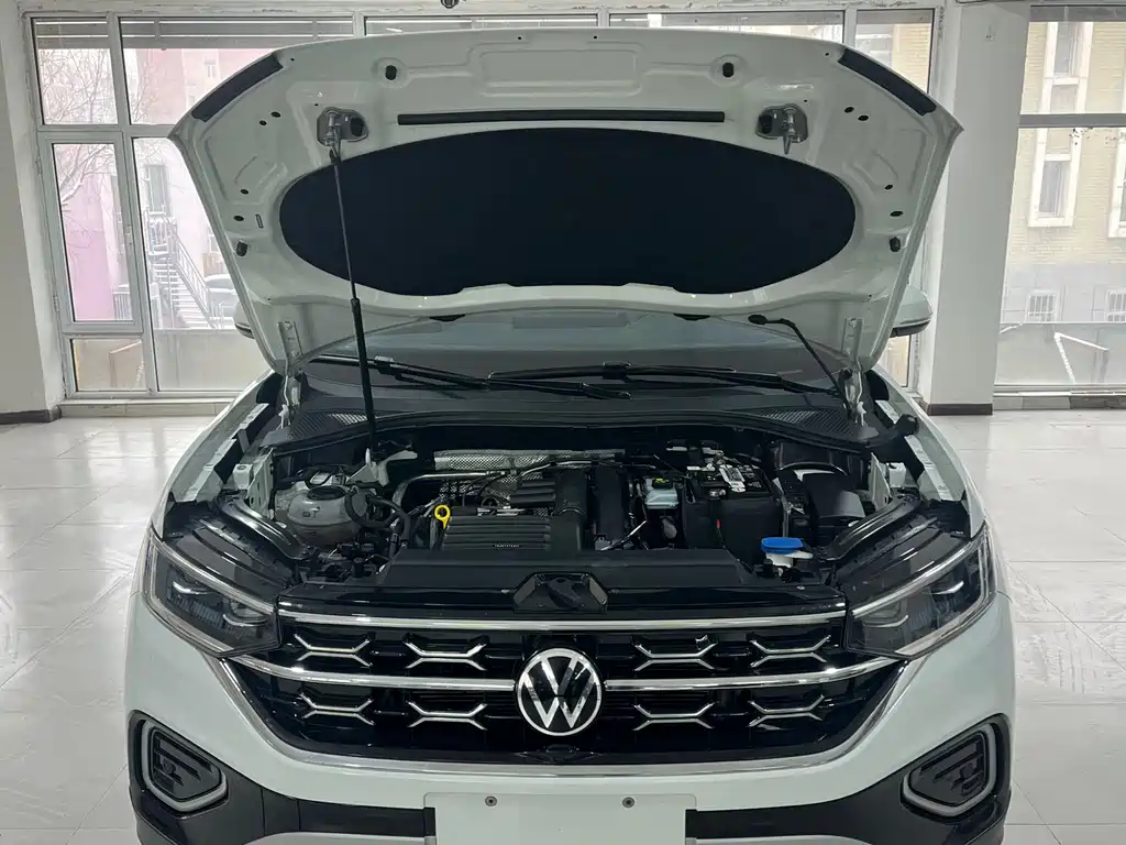 VOLKSWAGEN TANYUE