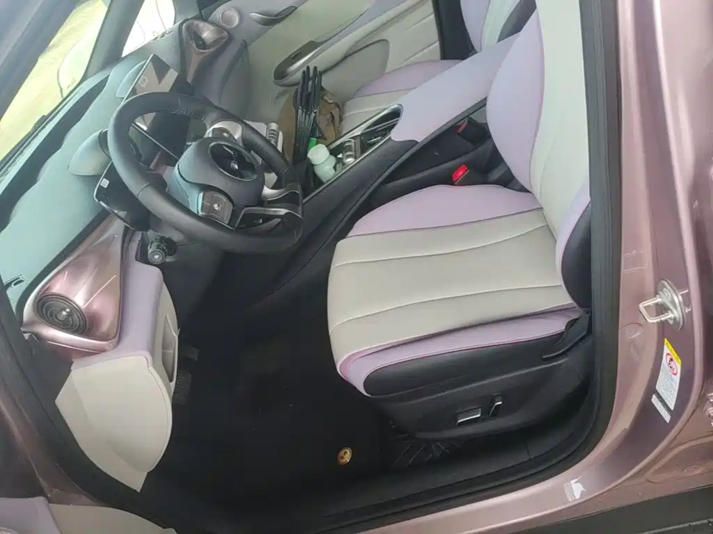 BYD Dolphin — миниатюра 15