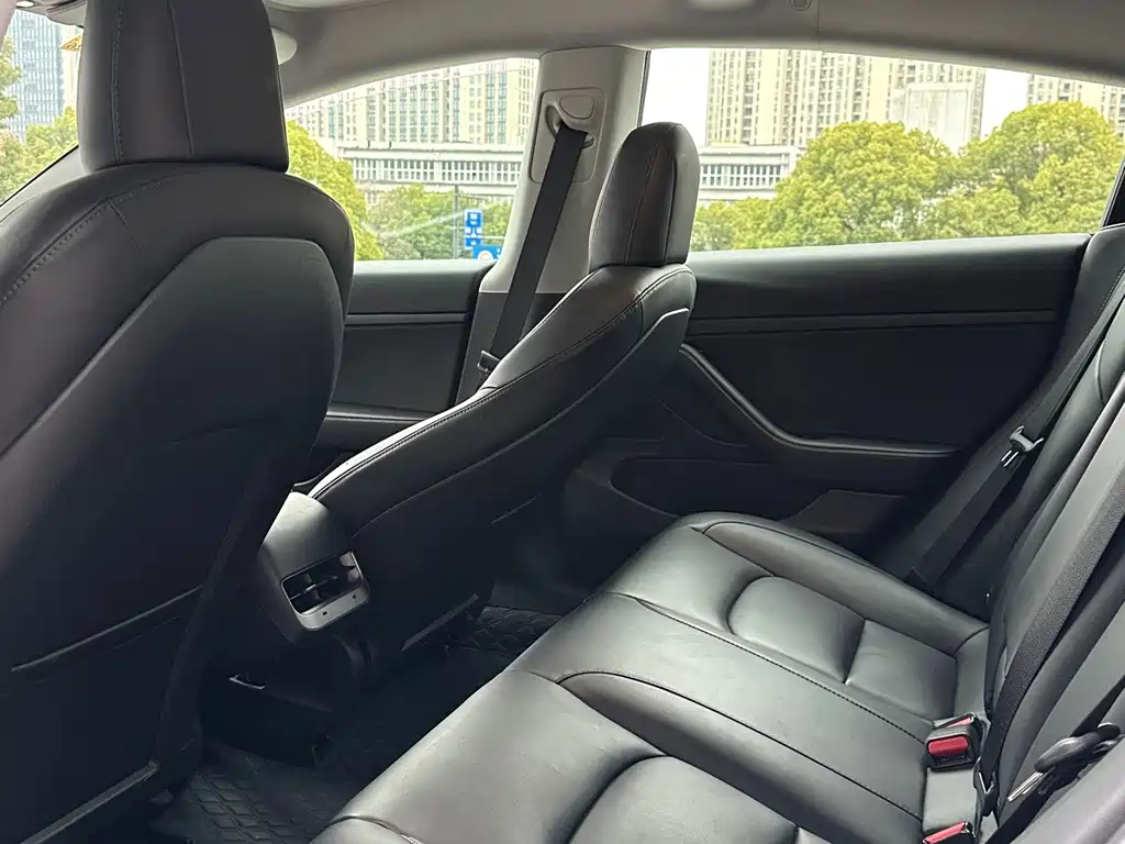 Tesla Model 3 — миниатюра 5