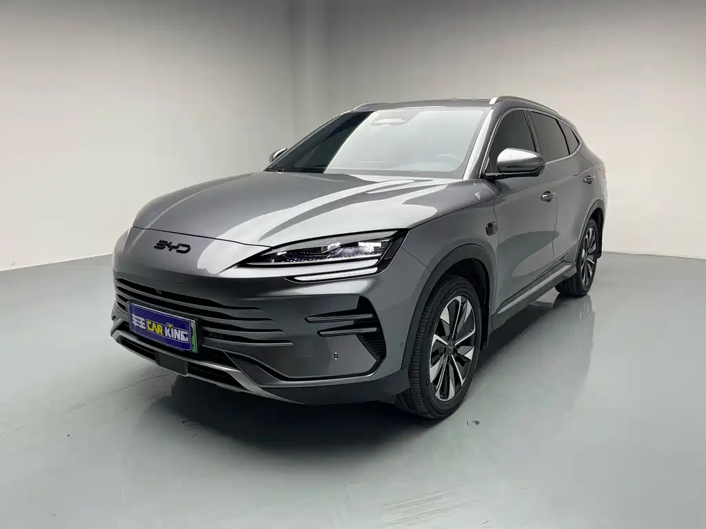 Byd PLUS New Energy 2025