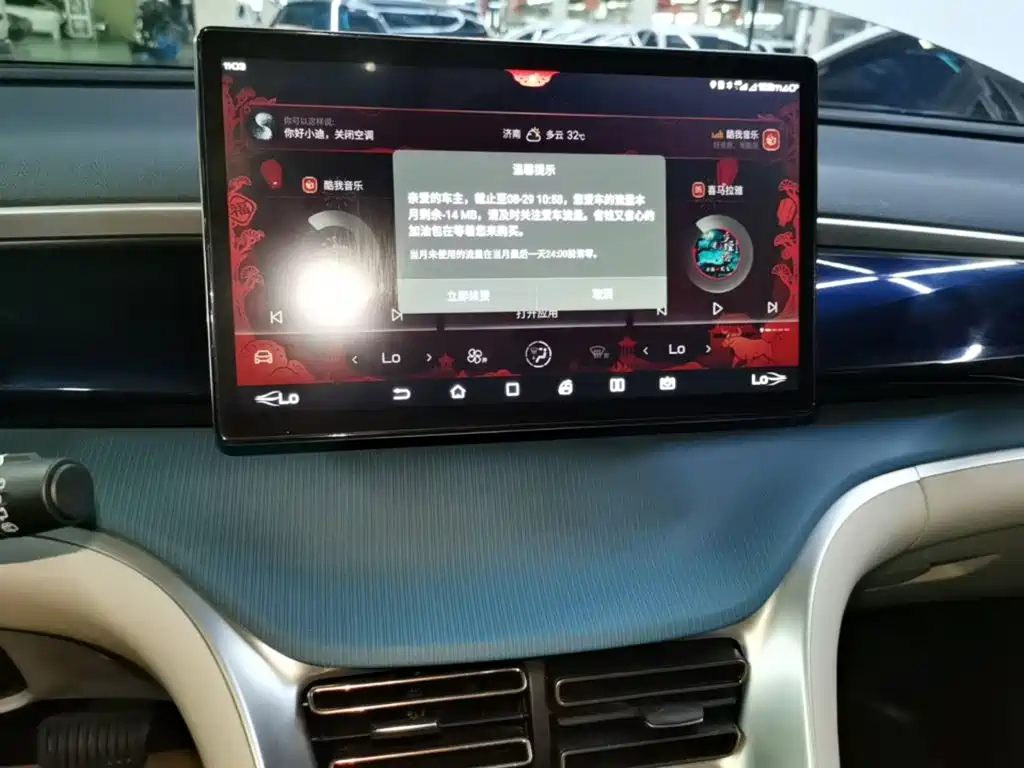 BYD Pro — миниатюра 13