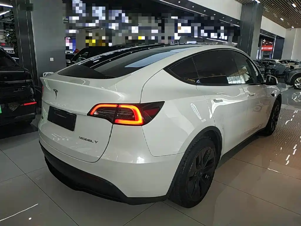 Tesla Model Y — миниатюра 7