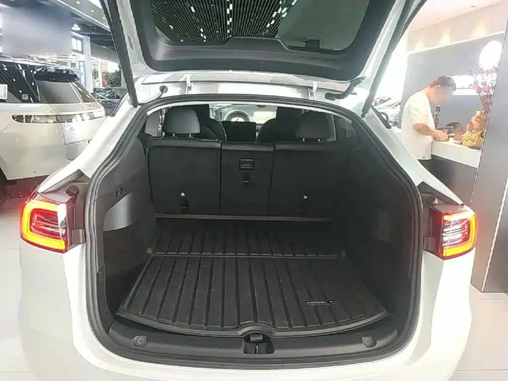 Tesla Model Y — миниатюра 19
