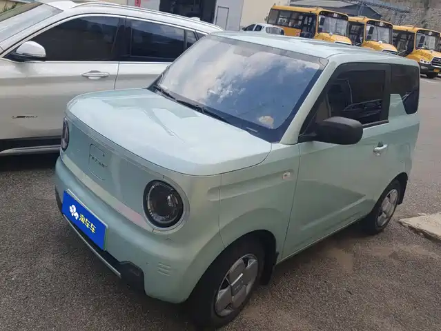 2024 Geely LC (Panda)