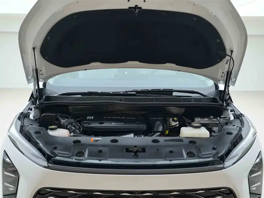 BUICK GL8 NEW ENERGY