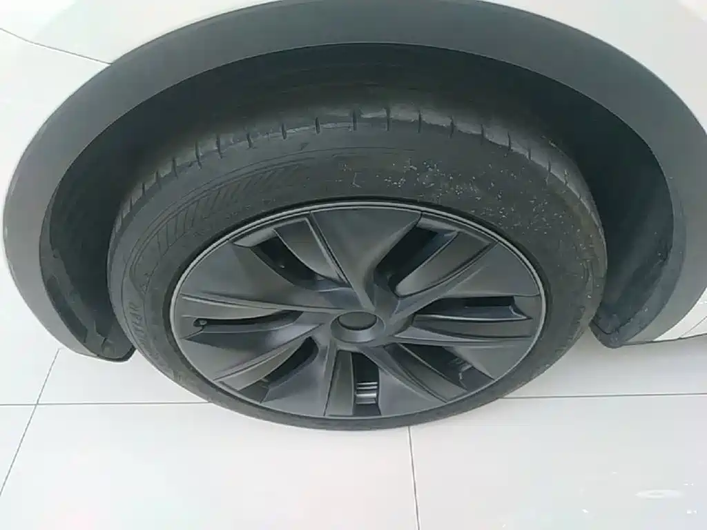 Tesla Model Y — миниатюра 23