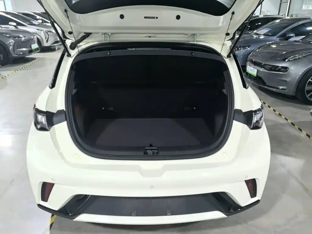 BYD Dolphin — миниатюра 19