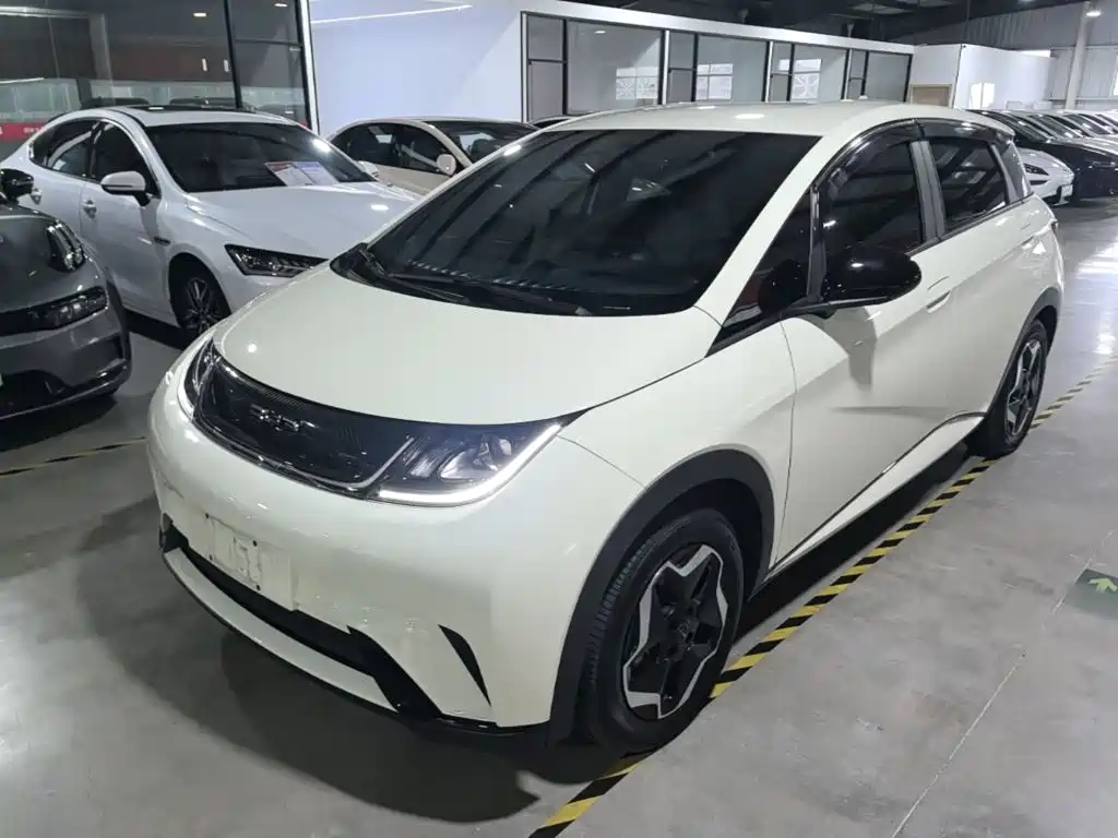 BYD Dolphin — миниатюра 2