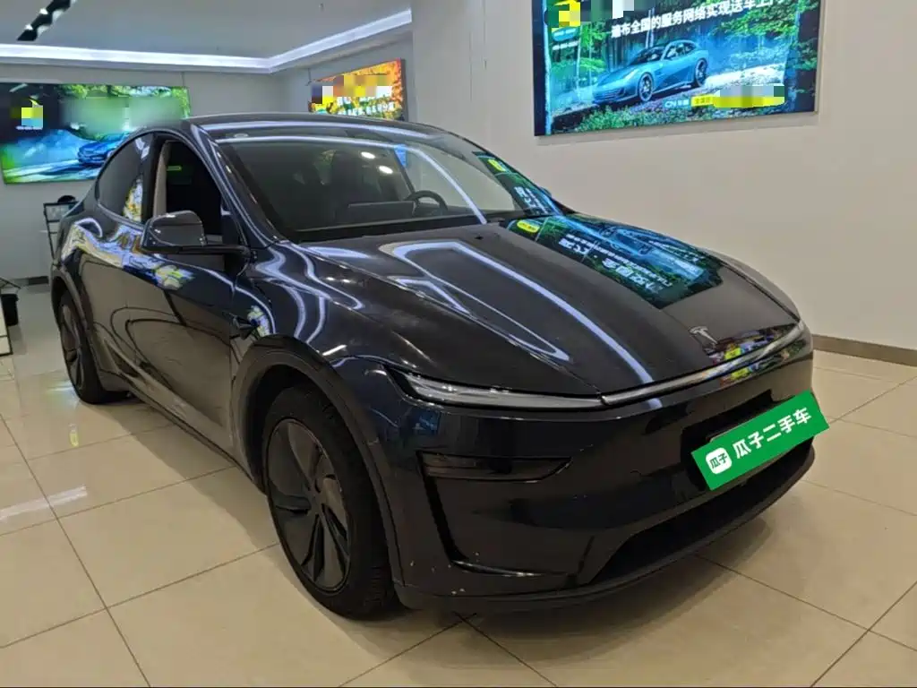 Tesla Model Y — миниатюра 4