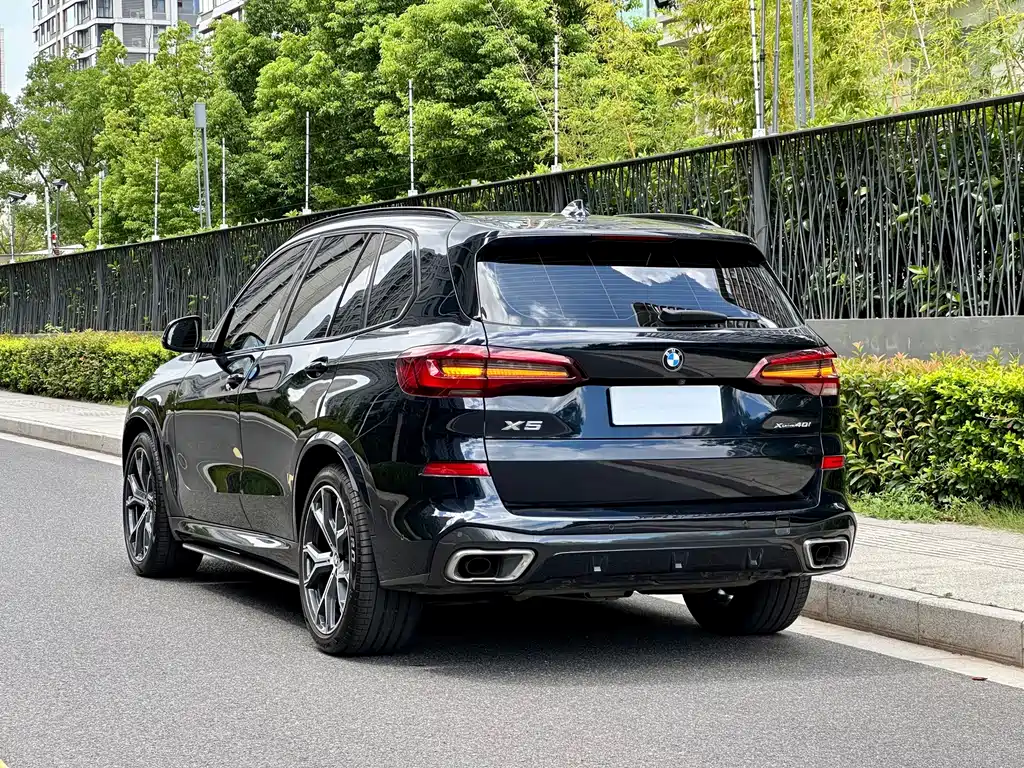 BMW X5 (Import) — миниатюра 16