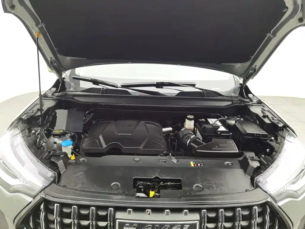 Haval Chitu — миниатюра 6