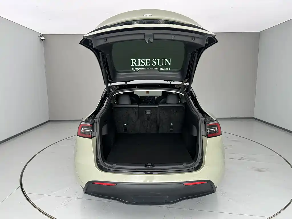 Tesla Model Y — миниатюра 7