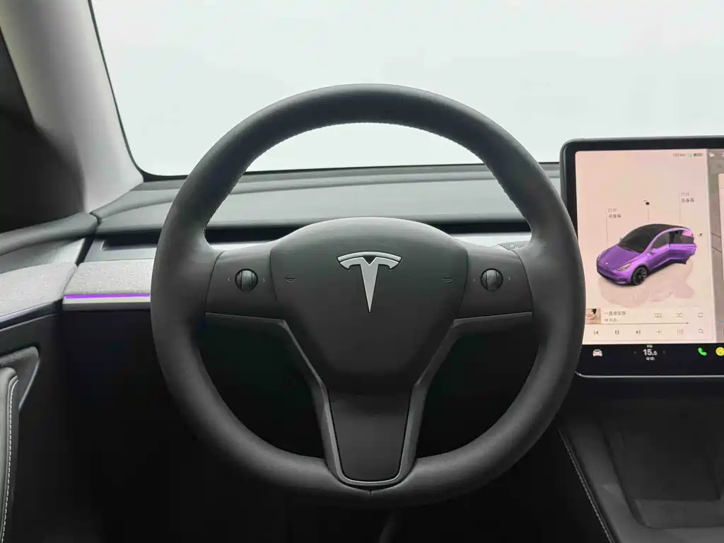 Tesla Model Y — миниатюра 17