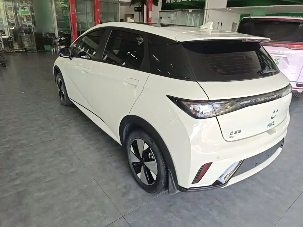 BYD Dolphin — миниатюра 5